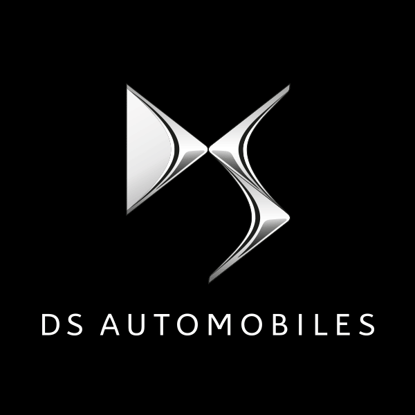 logo DS