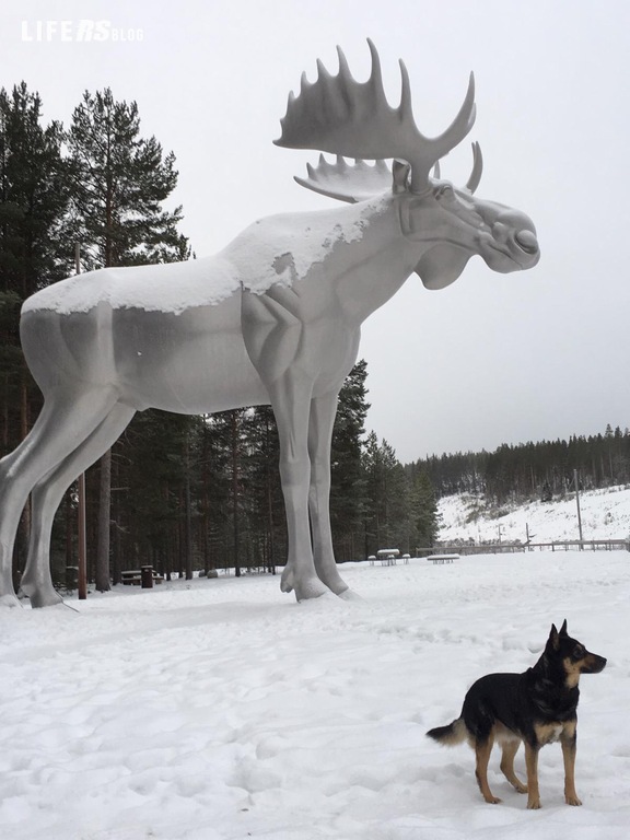 Nordkapp, “il viaggio dei viaggi”