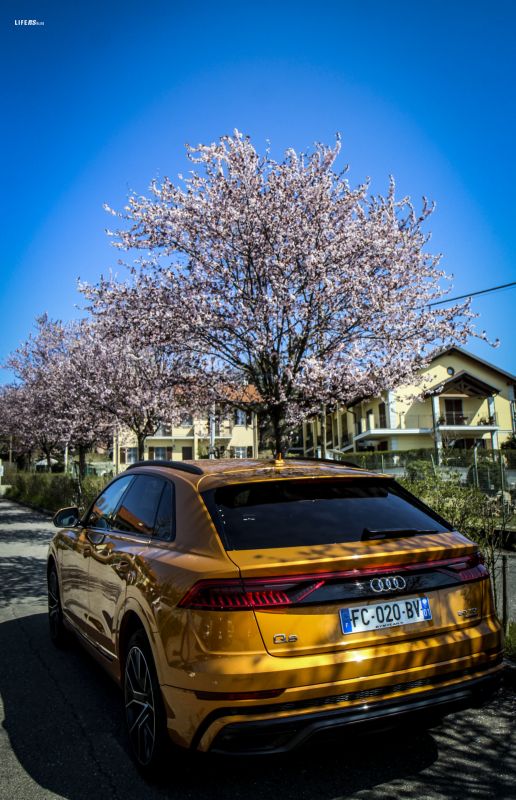Audi Q8 50 TDI Quattro Tiptronic - 31