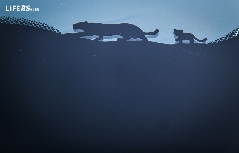 Jaguar E-Pace 37