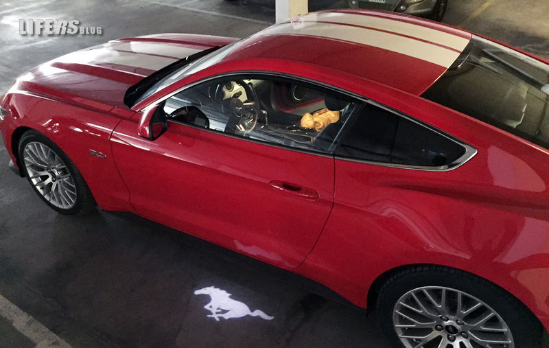 Ford Mustang 2