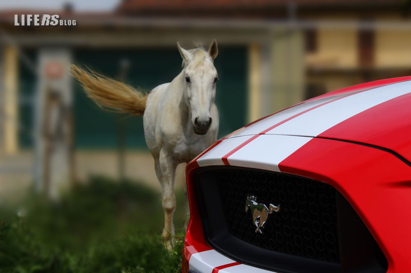 Ford Mustang 1