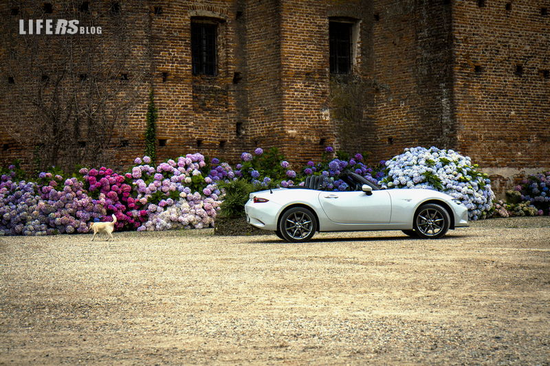 Mazda MX-5 3